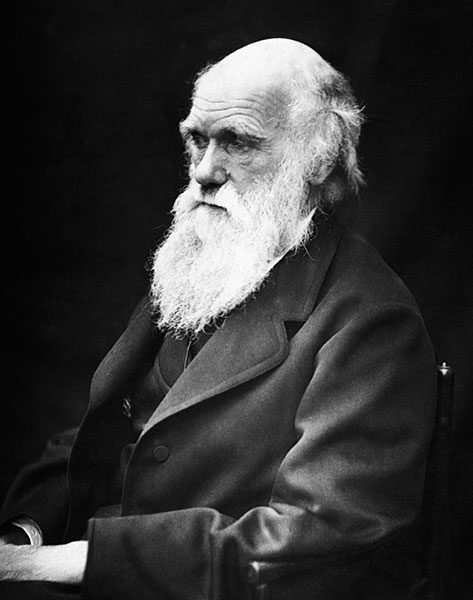 Чарльз Дарвин и его теория эволюции путем естественного отбора